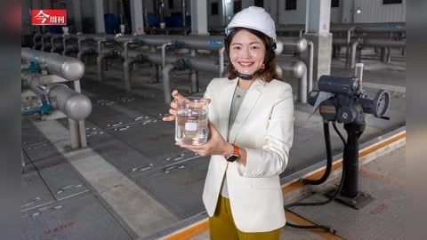 一個門外漢如何只花4年 讓山林水從虧損到年收50億?