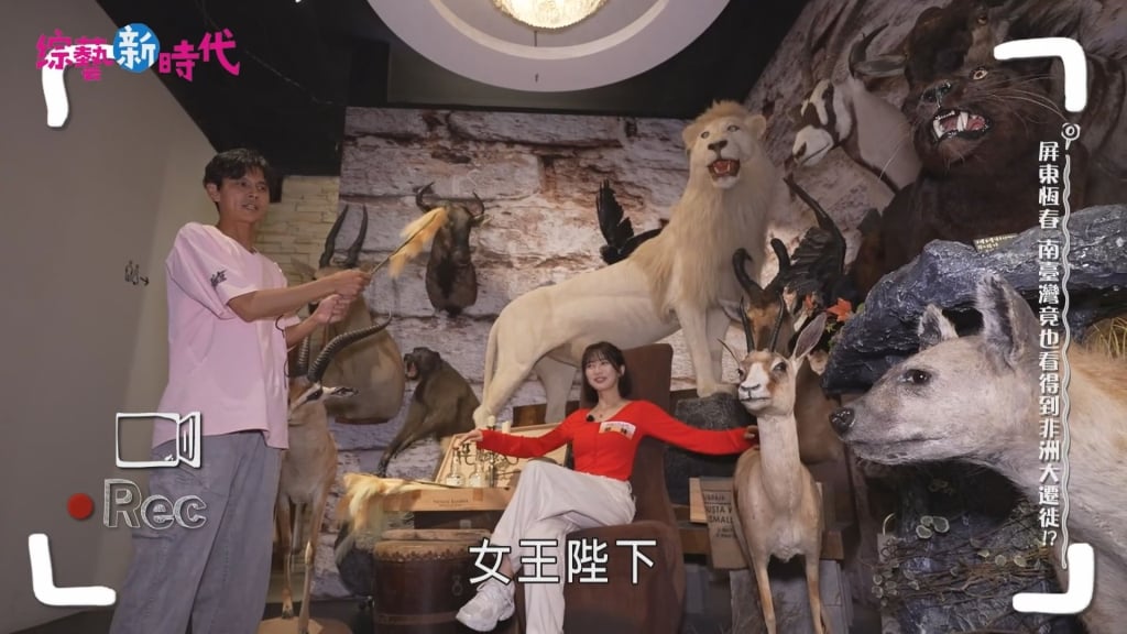 錄影差點賠上千萬!啦啦隊女神觸犯禁規 阿翔目睹全過程「下場慘了」