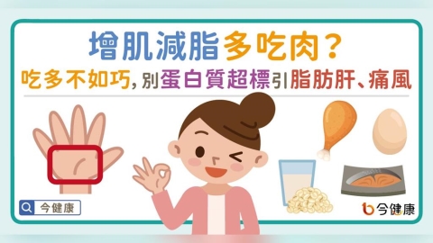 增肌減脂狂吃肉?當心蛋白質超標!營養師曝三迷思,吃錯小心脂肪肝、痛風、結石、肥胖找上門