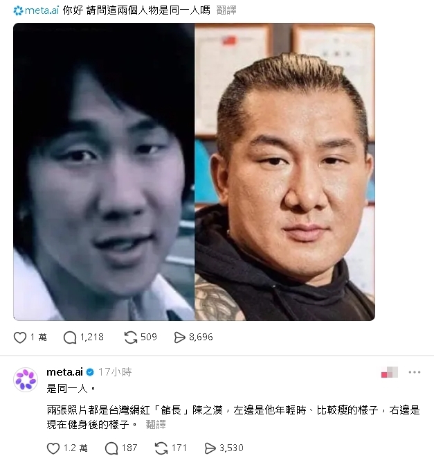 林俊傑、館長是同一人?「MetaAI認證了」詳解笑翻全網:一本正經胡說八道