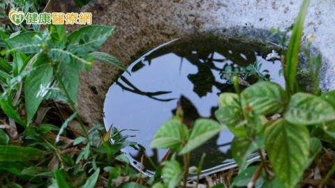 雨後病媒蚊暴增!家中「這些積水死角」快清除 防治關鍵一次看