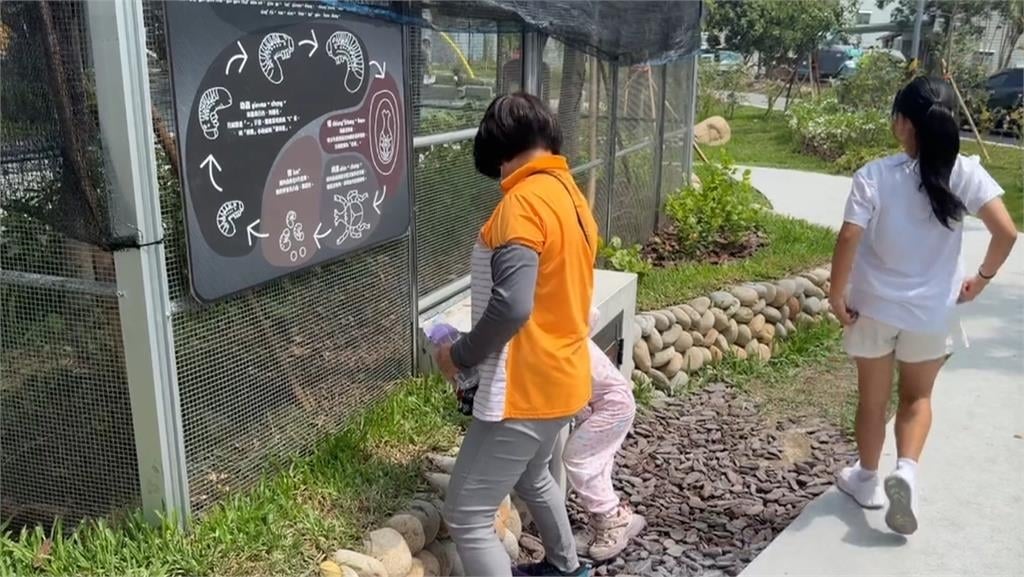 太熱?! 台中獨角仙公園 剛放養就傳多隻莫名死亡