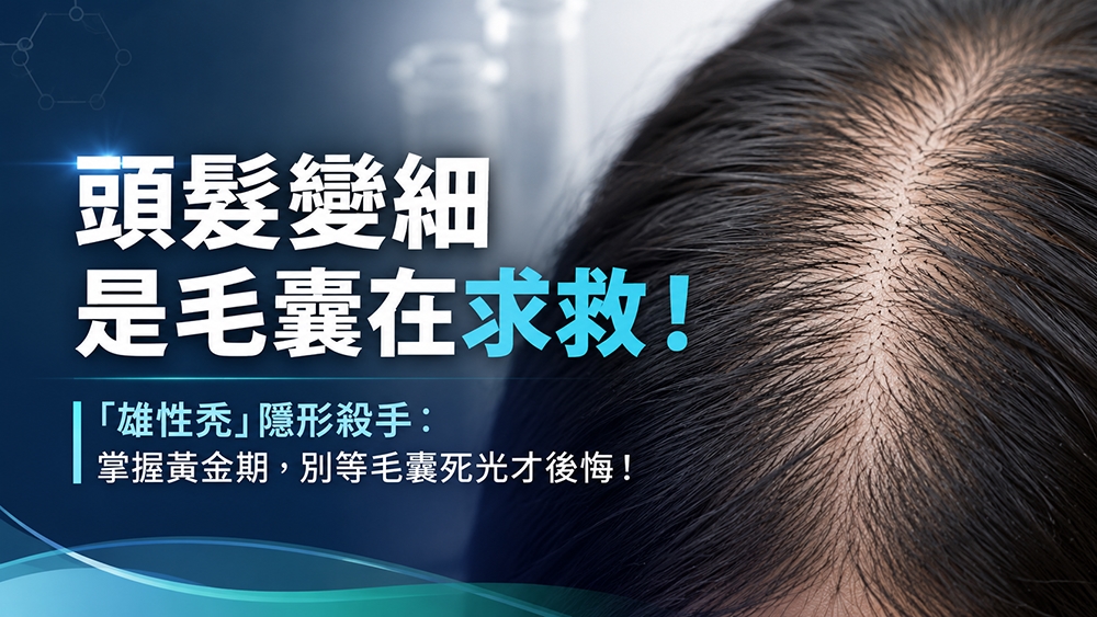 頭髮變細可能是雄性禿早期訊號？醫師解析毛囊微小化的形成原因