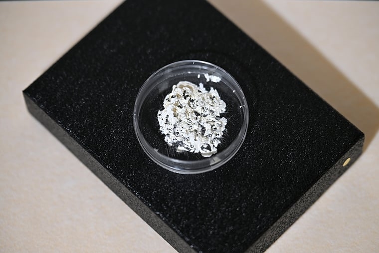 牙周病治療新突破！ 去細胞化臍帶組織有助齒槽骨新生