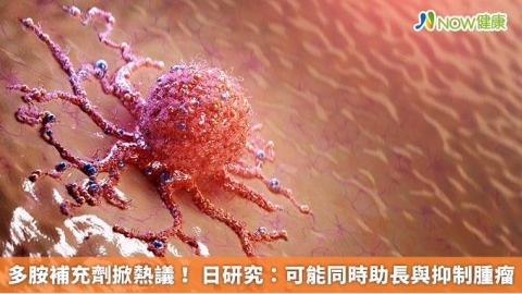 多胺補充劑掀熱議！ 日研究：可能同時助長與抑制腫瘤