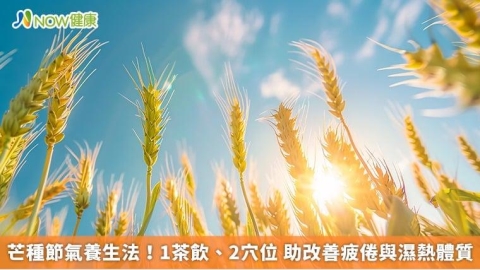 芒種節氣養生法！1茶飲、2穴位 助改善疲倦與濕熱體質