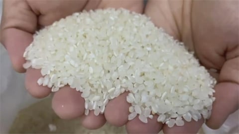 芒種節氣迎財富轉折！命理專家曝光「這5星座」貴人運爆發