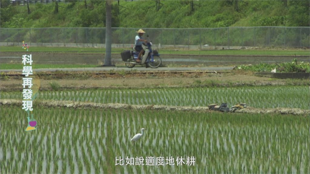 「過度施肥」反而有害作物！　「休耕輪作」可改善土壤