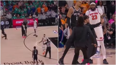 NBA(影)／一秒衝場代價一生！冠軍賽「亂入自拍斑馬」　NBA重懲終身禁止入場