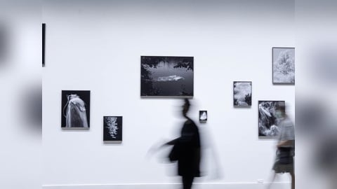 反思派藝術特展全收錄！帶你逛盡台北8大探索內心、生態文化