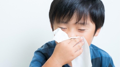 「鼻要」再亂了!耳鼻喉科醫師分享過敏性鼻炎日常照護五重點
