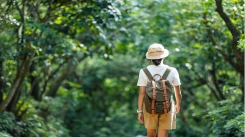夏季生活步調加快:適度旅行與休息有助調整身心狀態