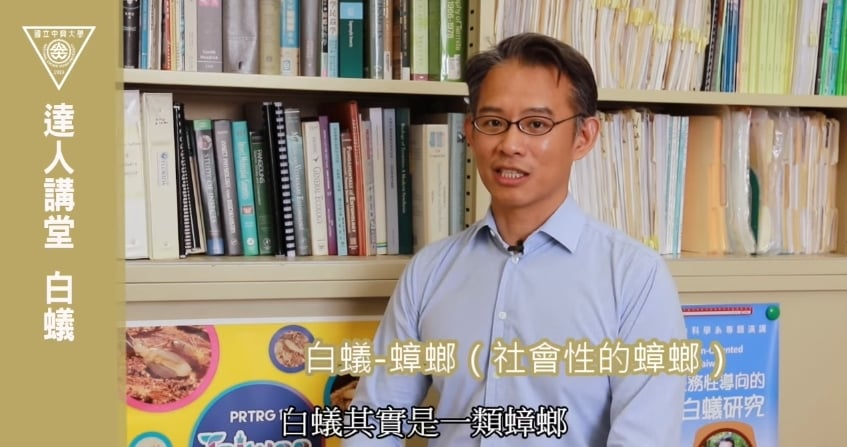 大水蟻其實是「特化型蟑螂」!專家揭真相 網友崩潰:請讓我繼續無知