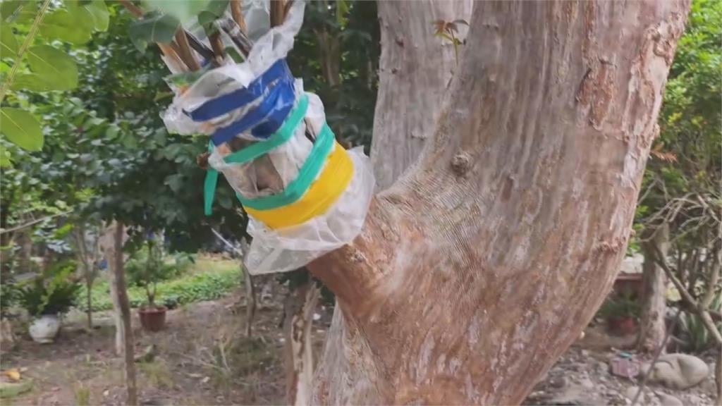 疫情、關稅雙重夾擊! 鐵工廠老闆逆襲打造紫薇祕密花園