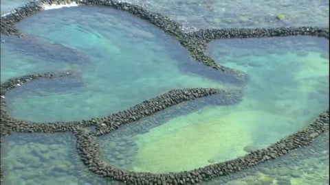 超自私！澎湖七美遊客直接站雙心石滬上　影響上方眾人拍照