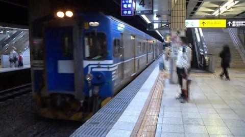 路樹橫躺鐵軌！台鐵「濁水=集集」路段受阻　集集線「這時間」恢復通車