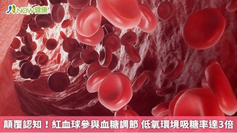 顛覆認知!紅血球參與血糖調節 低氧環境吸糖率達3倍
