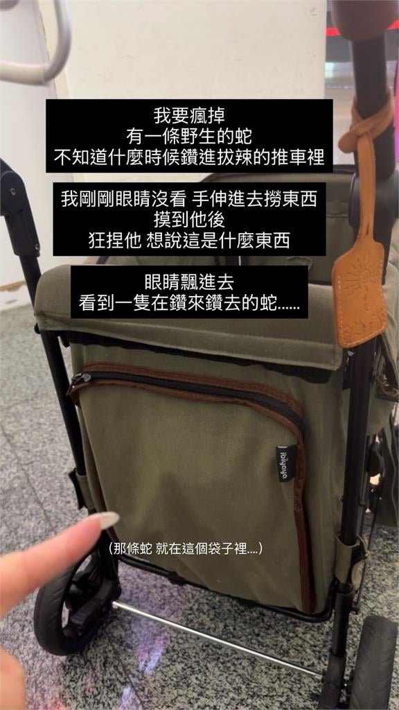接機有蛇