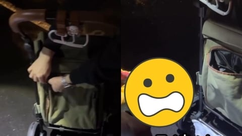 正妹接機驚魂！推車摸到「恐怖活蛇」　捕蛇人揭品種她崩潰喊：命差點沒了