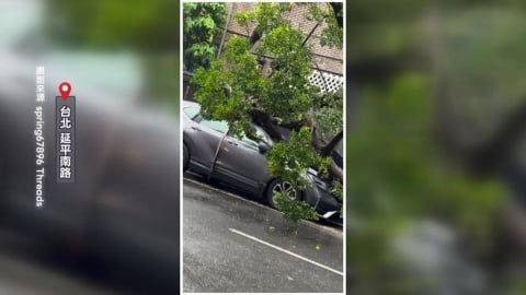暴雨釀災!北市延平南路「路樹倒塌」 共波及10車