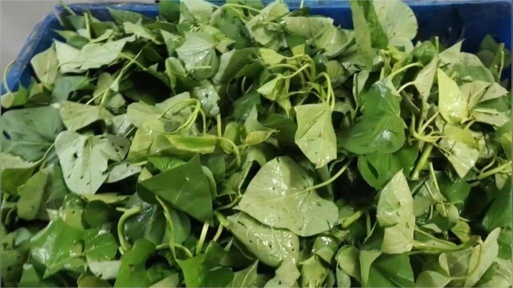 地瓜葉「水煮、油炸」營養恐流失?醫授「1煮法」好吸收還更健康!