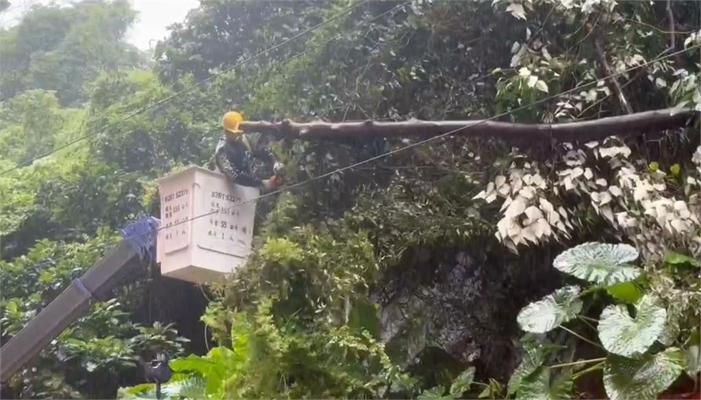 梅雨季最強雨勢! 桃園、基隆路樹驚傳倒塌