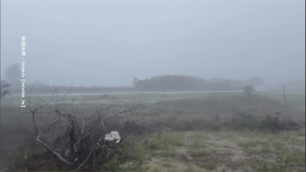 梅雨狂炸! 恆春現"颱風級暴雨" 海生館樹遭吹倒