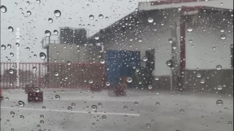 梅雨狂炸! 恆春現"颱風級暴雨" 海生館樹遭吹倒