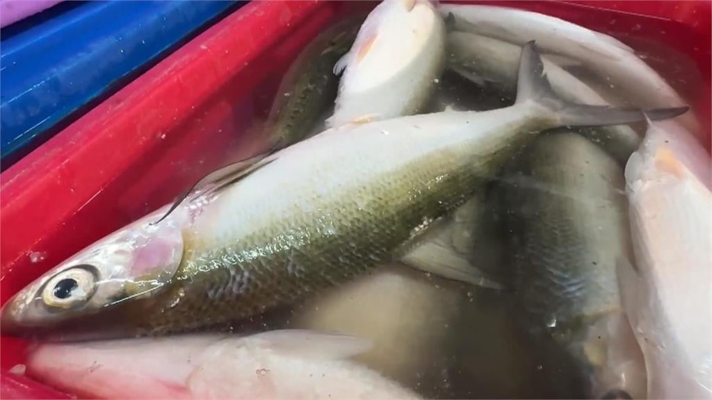 台南虱目魚"季節性缺貨" 名店被迫停業 饕客哀號