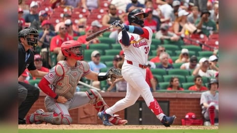 MLB(影)/球場上玩命演出!父子合組「人體夾娃娃機」想撿全壘打球