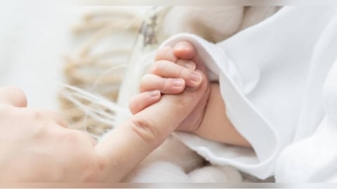 人口連29個月負成長!台灣5月新生兒創歷年次低紀錄