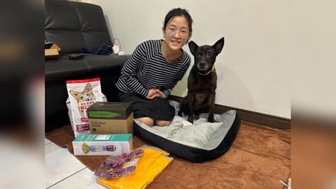新北市民快看!只要做1事就能拿「2000元新北幣」領取方式曝光