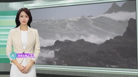 敏熙報氣象/強風襲! 紐西蘭南岸掀巨浪 海空運部分班次受影響
