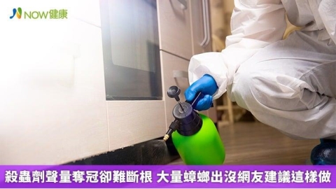 殺蟲劑聲量奪冠卻難斷根 大量蟑螂出沒網友建議這樣做