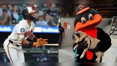 MLB(影)/一看到毛小孩就開轟!金鶯哈勒戴兩度「狗狗之夜」都打滿貫砲