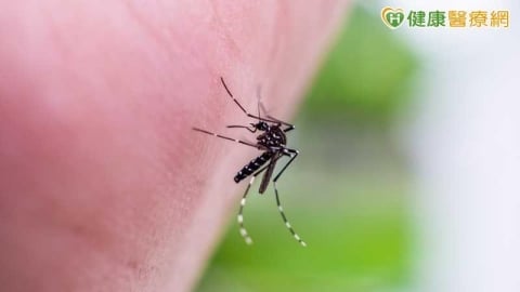 本土日本腦炎現蹤!6旬女昏迷住加護 疾管署:6至7月為流行高峰