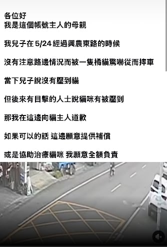 雲林騎士閃貓摔車PO文「願賠貓治療費」 網友大讚「這招聰明」