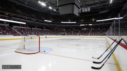 NHL總決賽颶風隊4比2擊敗金騎士 聽牌優勢距隊史第二冠僅差一步