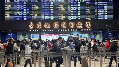 實在太猛！日本「這地方」一半以上都台人　驚人數據出爐