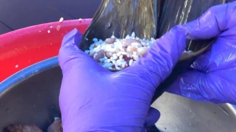 獨／端午送暖！民眾網路號召志工　包2500顆粽子送弱勢
