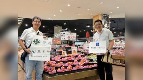 甜進日本市場!台灣芒果進軍永旺超市 展現台日民間友好情誼