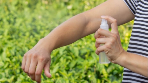 從傳統香包到現代防蚊:植物精油驅蟲效用的科學應用與安全指引