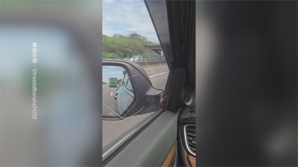 「壁虎哥」搭便車上國道　破百車速下展現超狂吸力