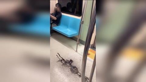 北捷淡水信義線車廂竟「天降墨汁」 北捷公司回應了