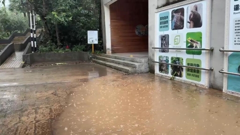 大雨狂轟文山！北市動物園「這2館」災情慘重　重新開放時間曝