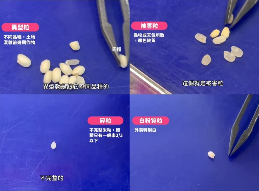 知名網紅開箱超狂「夢幻職業」!月薪8萬福利爆表 他曝默默買下十間房