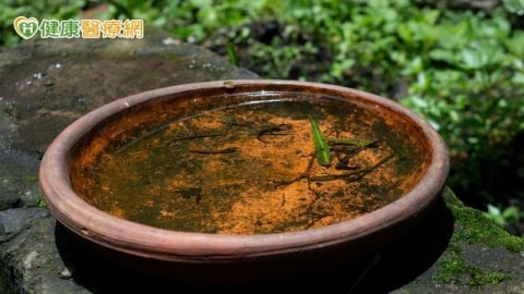 豪雨後登革熱風險升高！疾管署教「4招」防病媒蚊　發燒、頭痛要注意