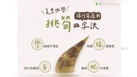 夏天吃綠竹筍怎麼挑？　農糧署教選購4字訣：甜脆不苦