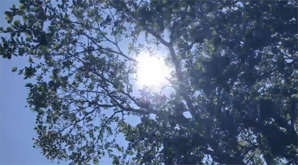 快新聞/端午連假天氣一次看!最熱高溫數據曝光 熱帶擾動侵台機率全說了