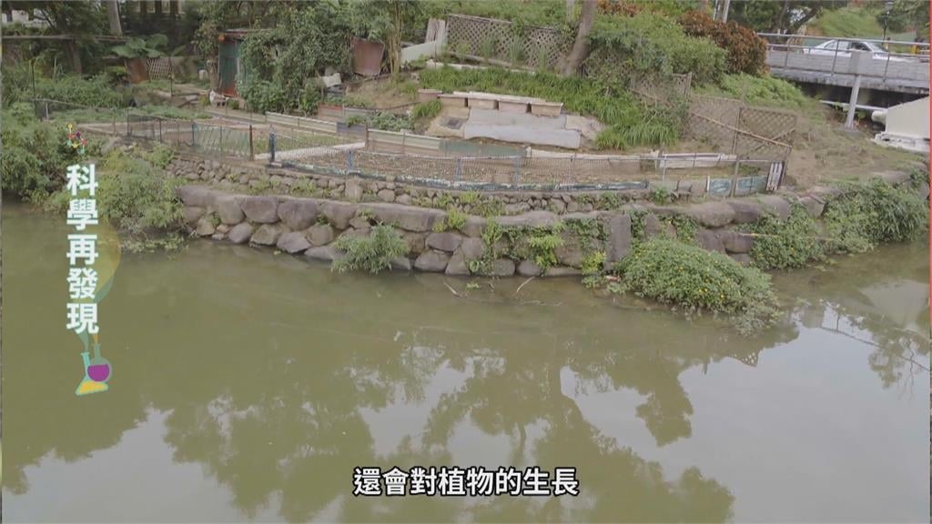 多處湖泊優養化 家庭廢水、過度施肥是元凶